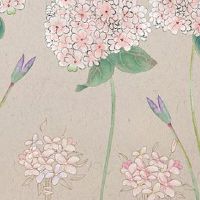 车牌号0到9的数字含义 更加富有的车牌数字