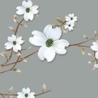 车牌号带字母L好不好 双面作用的车牌字母L