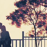 几个水果与婚礼果实相同？