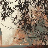 为什么你不能穿胸部花乳房？