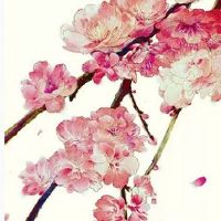 谷雨有什么风俗活动 谷雨的来历和风俗