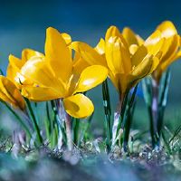 月球2022年虎年八岁吗？怎么理发？