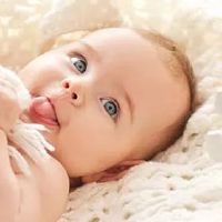  有文采典故的女孩名字