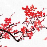 五行穿衣每日分享:2022年7月25日穿什么颜色提运