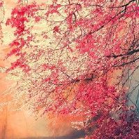 男人的八个性质的弱点是不好的