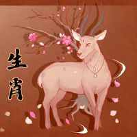 黄道带的最佳算命分析是什么?