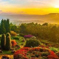 官方印刷的女人是什么意思？