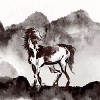 2022年黄道十二曲折这是人胶囊分析