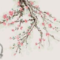 2022黄道带大先知黄道十二兔子兔子分析