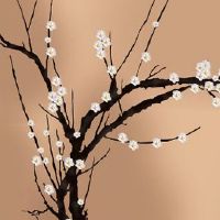 本命年点背怎么转运 本命年很不顺利怎么解