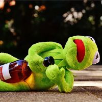 瓶子是什么意思？