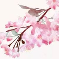 命中没有姻缘的女孩子 法令纹深长以自我为中心