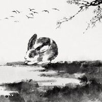 2022年农历五月属兔人事业运势分析 畅通无阻收获良多