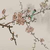 属猪用什么号码旺财 电话号码尾号多少好呢