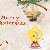 最好的配偶属于兔子是一个和平和剩余的投资。