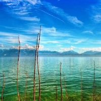 家庭被置于邪恶的灵魂