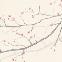 虎年本命年戴什么手链 水晶手链让生肖虎太平顺利