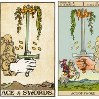 塔罗宝济第一次交货