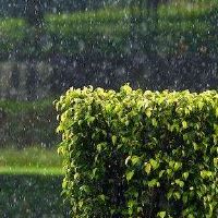 女性的八个角色很强大？