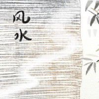 家里适合摆放什么植物 蓬莱松金银花白兰百里无一害