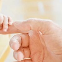 金融行的金融行如何？ 2022蛇人的财富