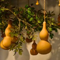 什么样的风水吉祥物孔口是五路木头?绿色水晶和葫芦