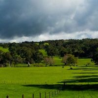 2022年比较八个字符的特征是什么？