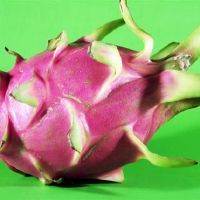 在十二个星座中，对Distacleive的人的了解