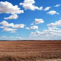 这是什么意思？