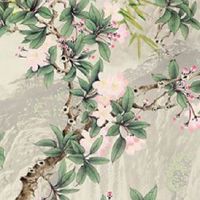 全是簸箕的女人好不好 是难得的享福之命