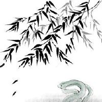 在2023年，蛇男是一个好运。