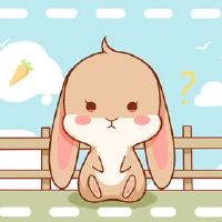 属兔人2022年事业方位 事业稳定注意身体健康