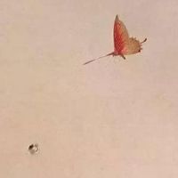 车牌号是119是不是很差 吉利车牌号码的布局