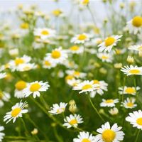 爱抱怨四个星座，或责备别人，或责备机会