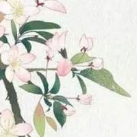 流年夫妻宫武曲化忌如何化解 夫妻应当彼此包容