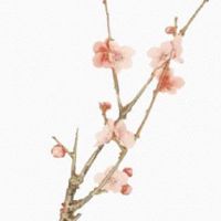 养殖个体户名称大全推荐 最新版养殖个体户名大全