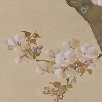 如何根据手看是否有财运 女性理财纹很多财运爆棚