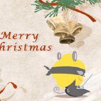 1996年，小鼠生活婚姻状况是几年。