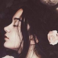 2022集的八个字符性质特征