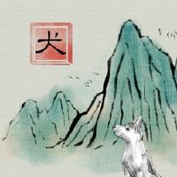 这是狗和婚姻的婚姻吗？