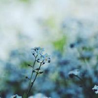 夏季透气炎热后，是夏至第一天吗？