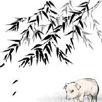 黄道带猪的幸运数字猪手机尾号吉利数字