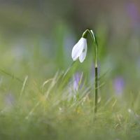 允许！减轻了12个星座冷暴力的正确姿势