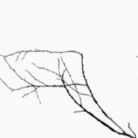 2022年生肖鼠4月事业运势盘点 有晋升机会吗