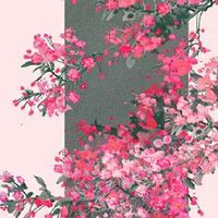 流年2022夫妻宫武曲天府忌 不利于夫妻感情