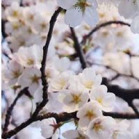 电商有创意名字2022新开公司 企业取独特个性的电商名