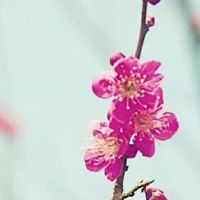 关于农业公司的取名四个字 精选农业公司名推荐