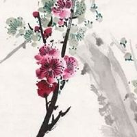 钱财纹多的女人手相 手掌方正富人手相