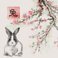 属兔的男人2022年事业怎样 不可激进有恒心避免家庭纷争