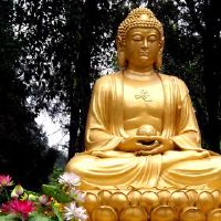 人们出生在什叶省鲍日吗？财富如何